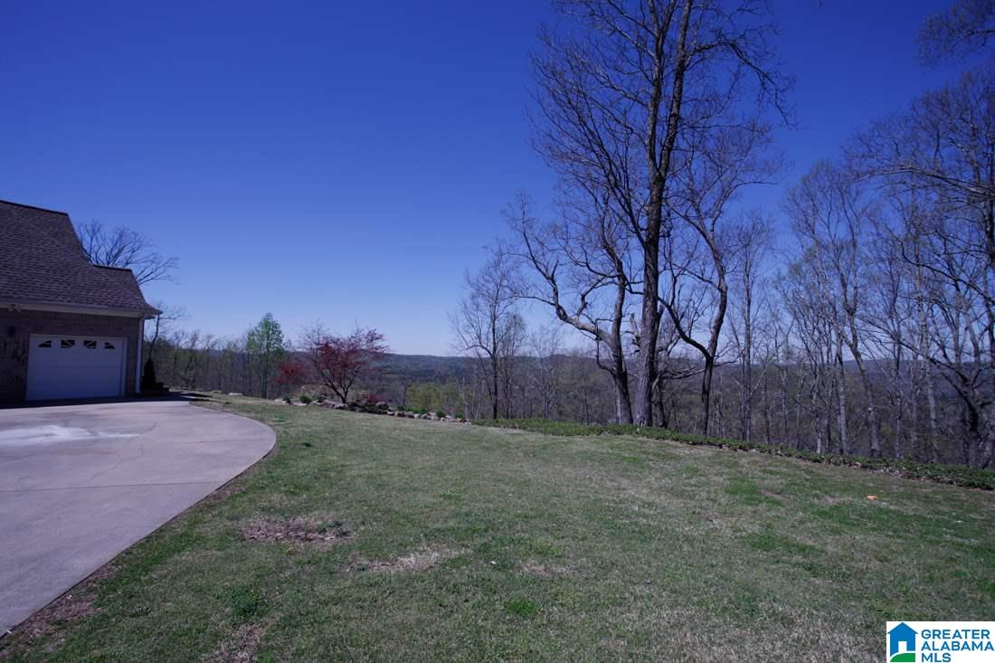 7625 Old Springville Road Trussville, AL 35173 - Photo 36 of 49