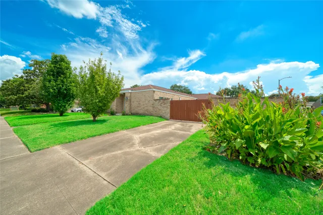a view of a backyard with plants