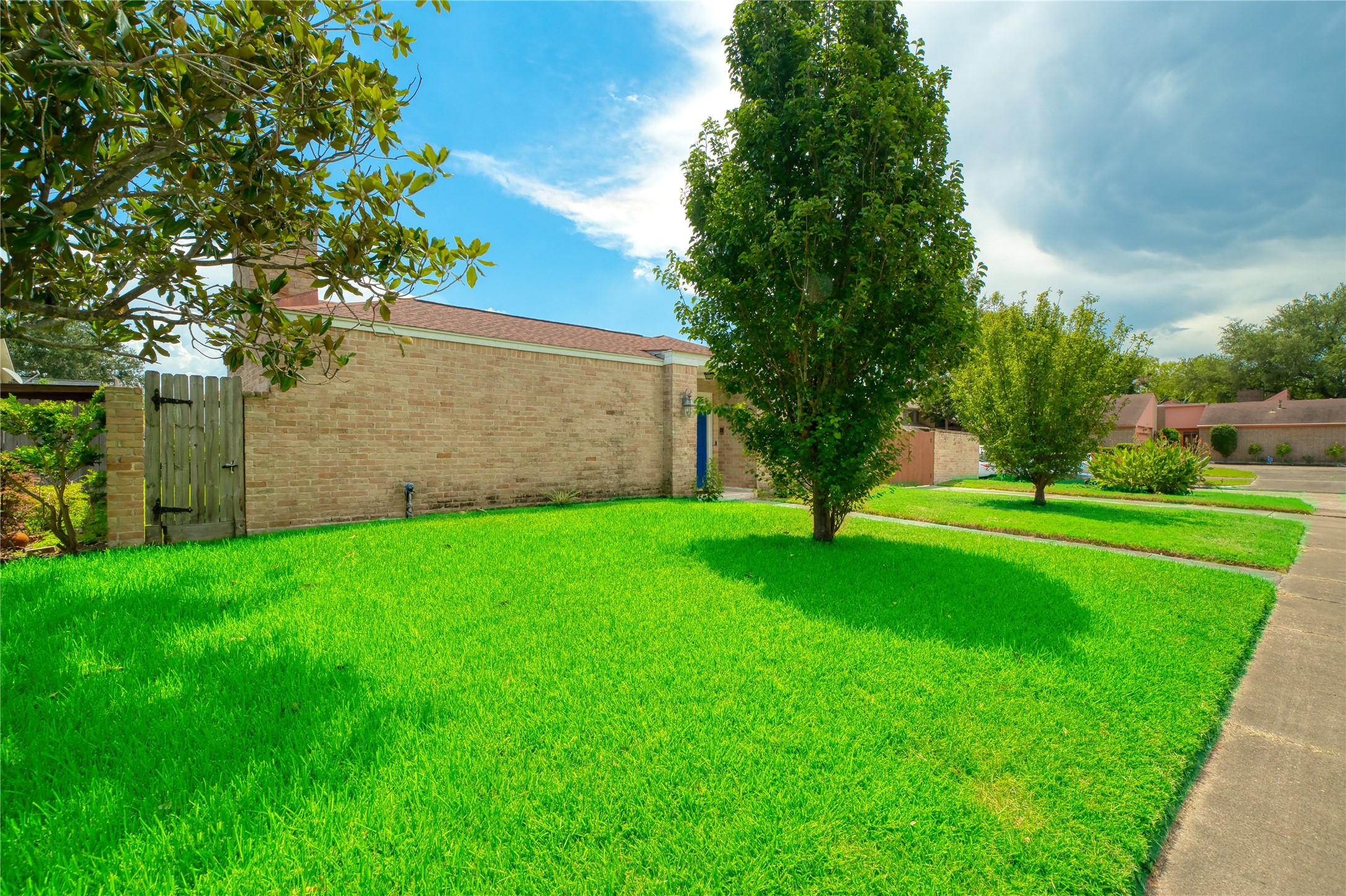 10919 Villa Lea Lane Houston, TX 77071 - Photo 4 of 45 a view of a backyard with plants and large trees