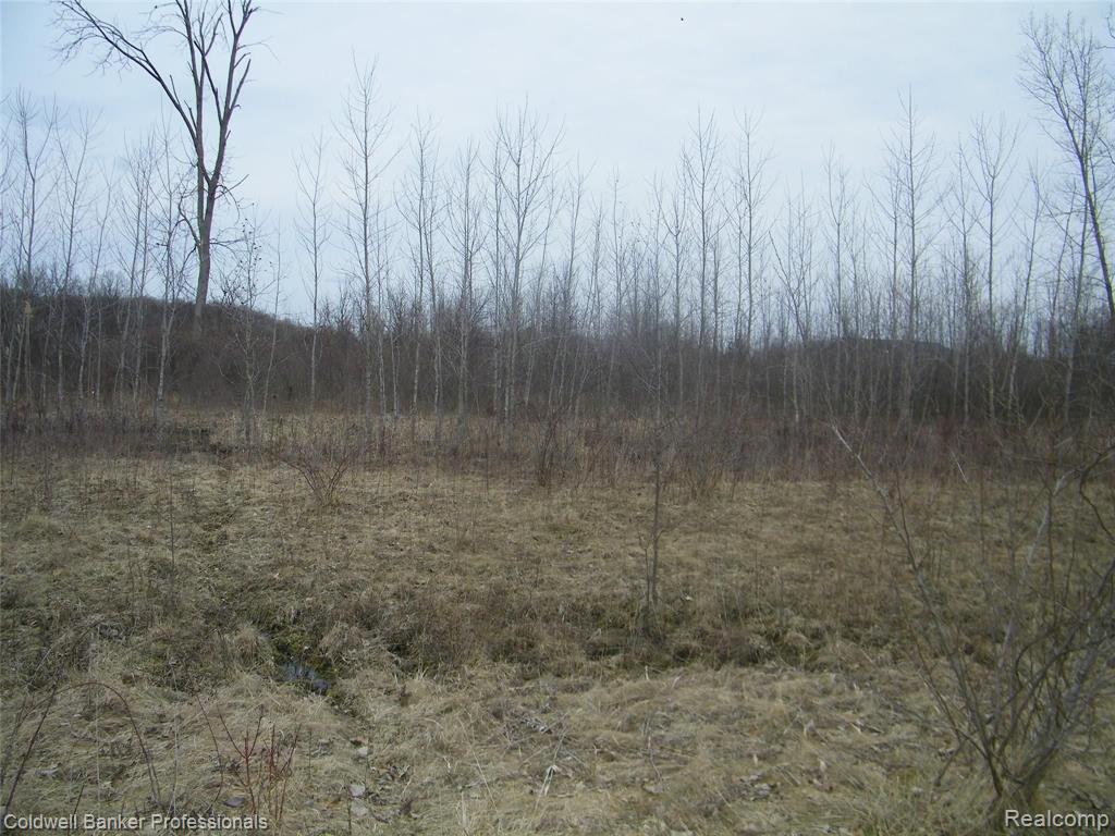 11 Turtle Lake Road North Branch, MI 48461 - Photo 5 of 7