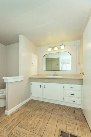 a bathroom with a sink mirror and vanity