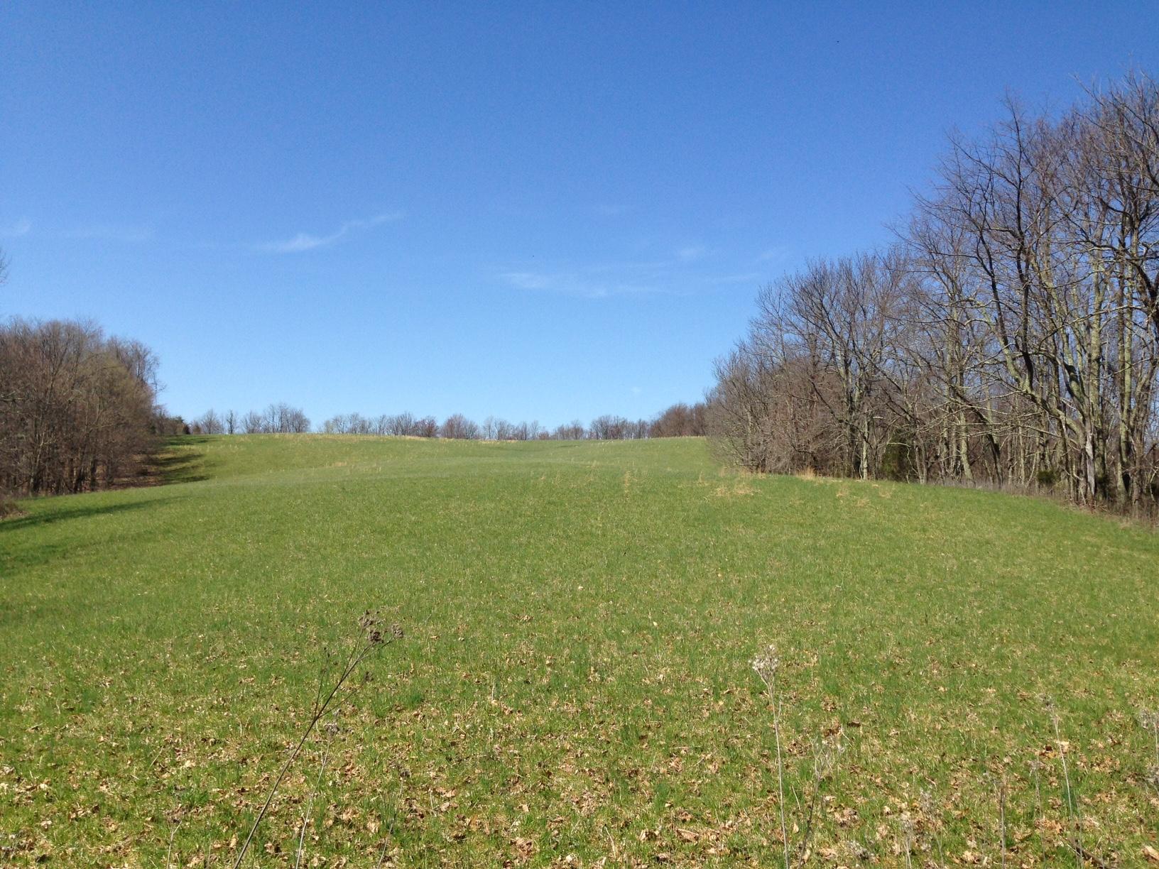 Dillon Road Forest Hill, WV 24935 - Photo 5 of 93 Gallery Image 5