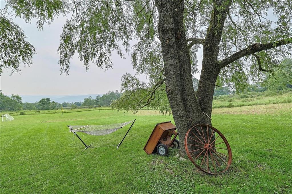 24 Valell Path Livingston Manor, NY 12758 - Photo 42 of 47