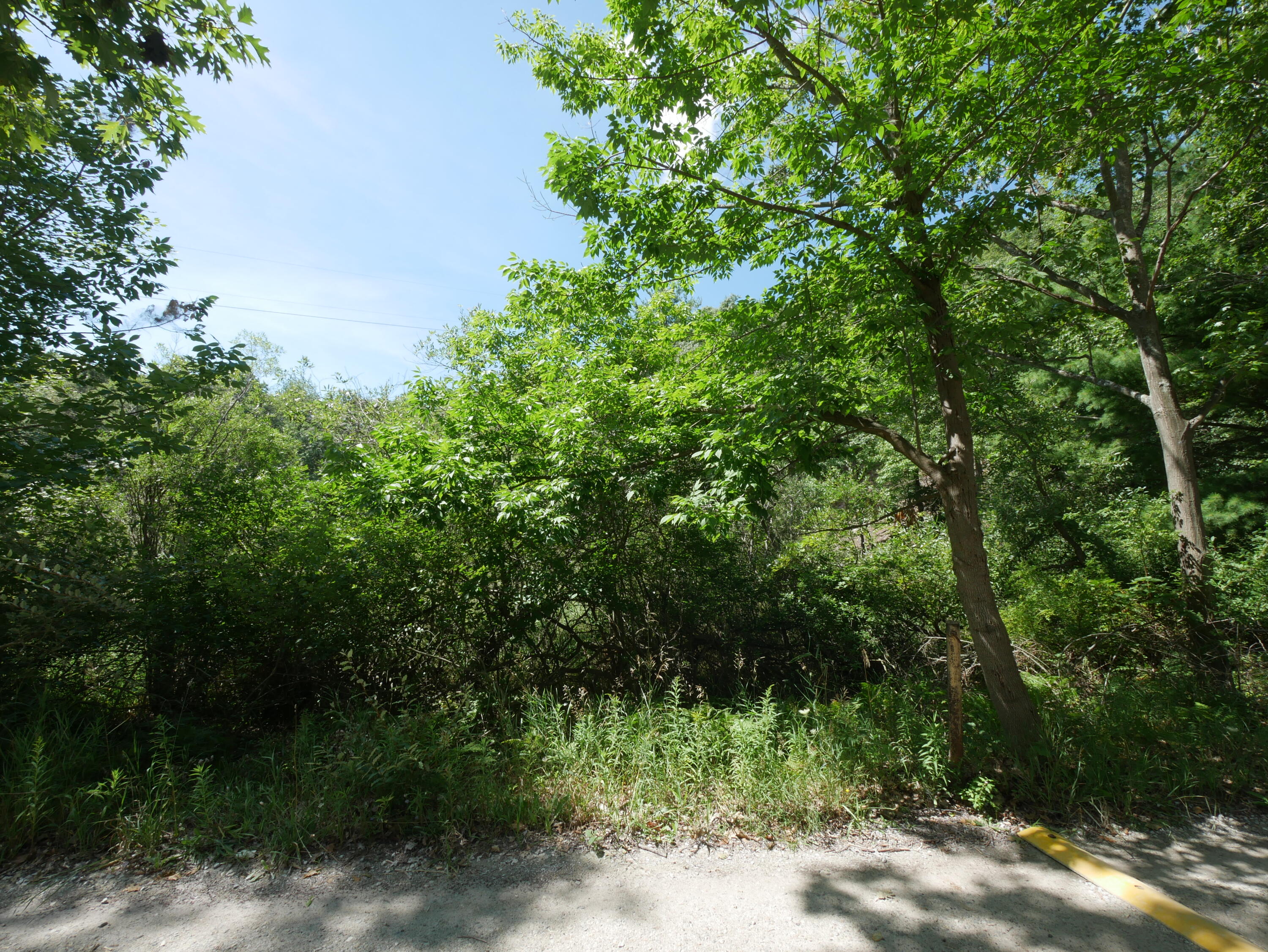 0 West Fruitvale Road Montague, MI 49437 - Photo 11 of 13 IMG_3305