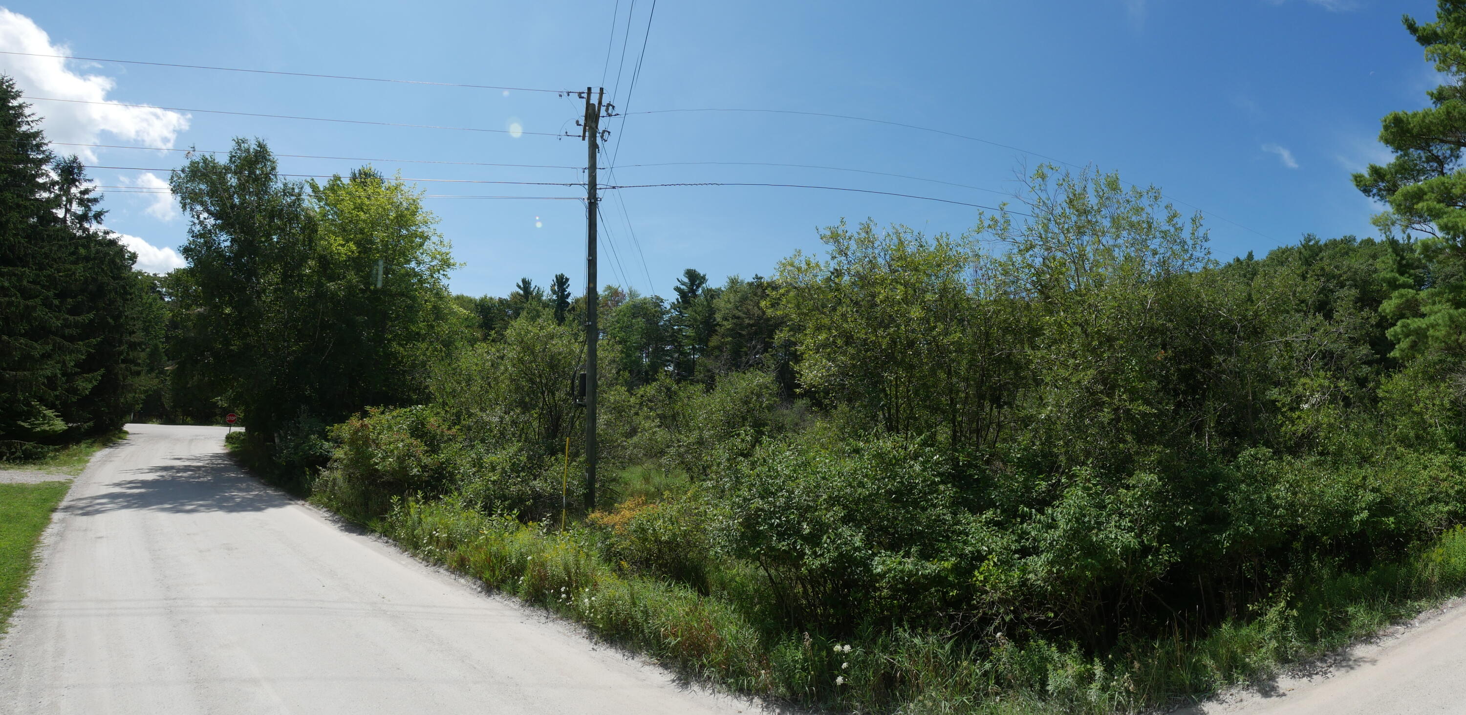 0 West Fruitvale Road Montague, MI 49437 - Photo 13 of 13 IMG_3324