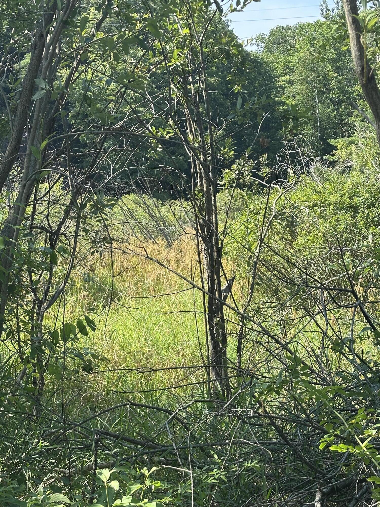 0 West Fruitvale Road Montague, MI 49437 - Photo 3 of 13 Open and hillside