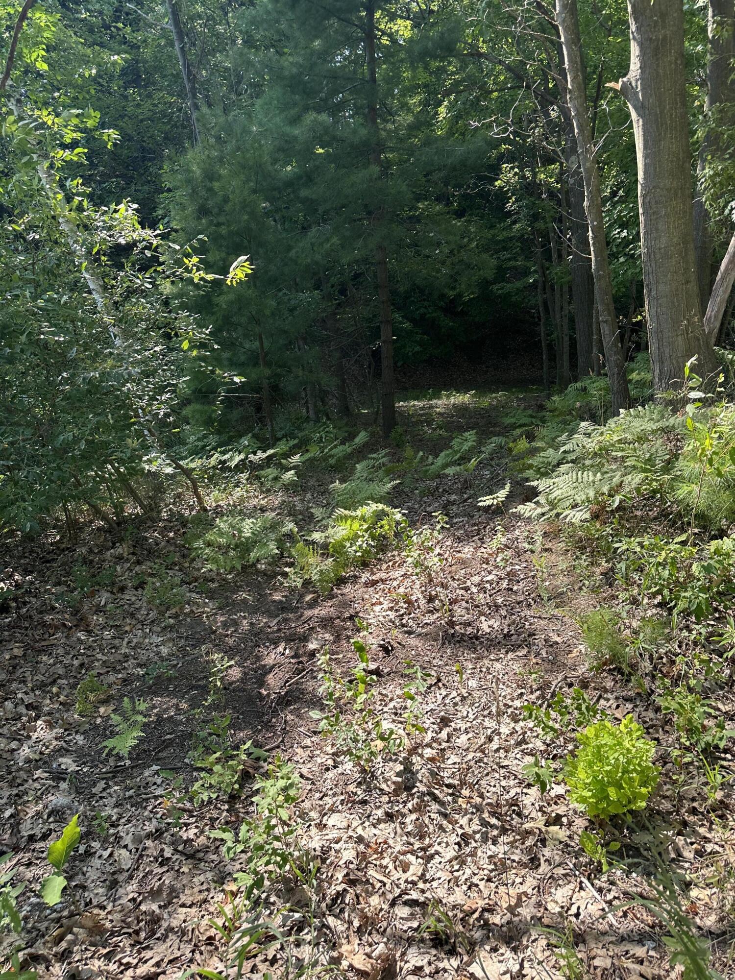 0 West Fruitvale Road Montague, MI 49437 - Photo 5 of 13 Path in the woods