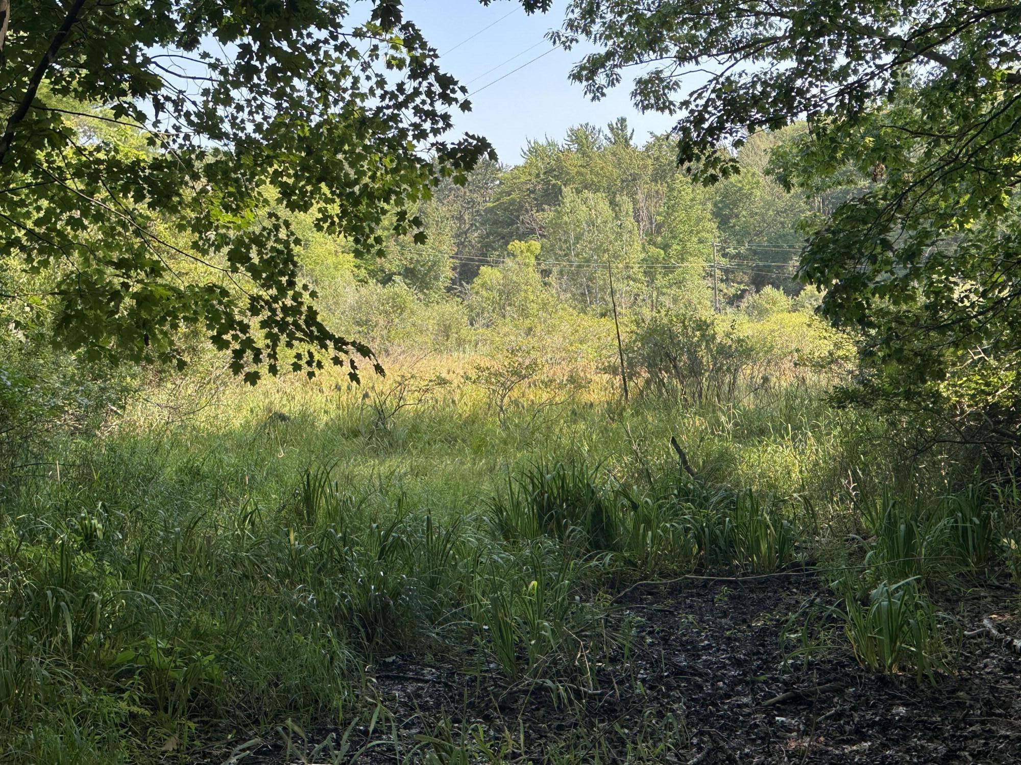 0 West Fruitvale Road Montague, MI 49437 - Photo 6 of 13 Open area