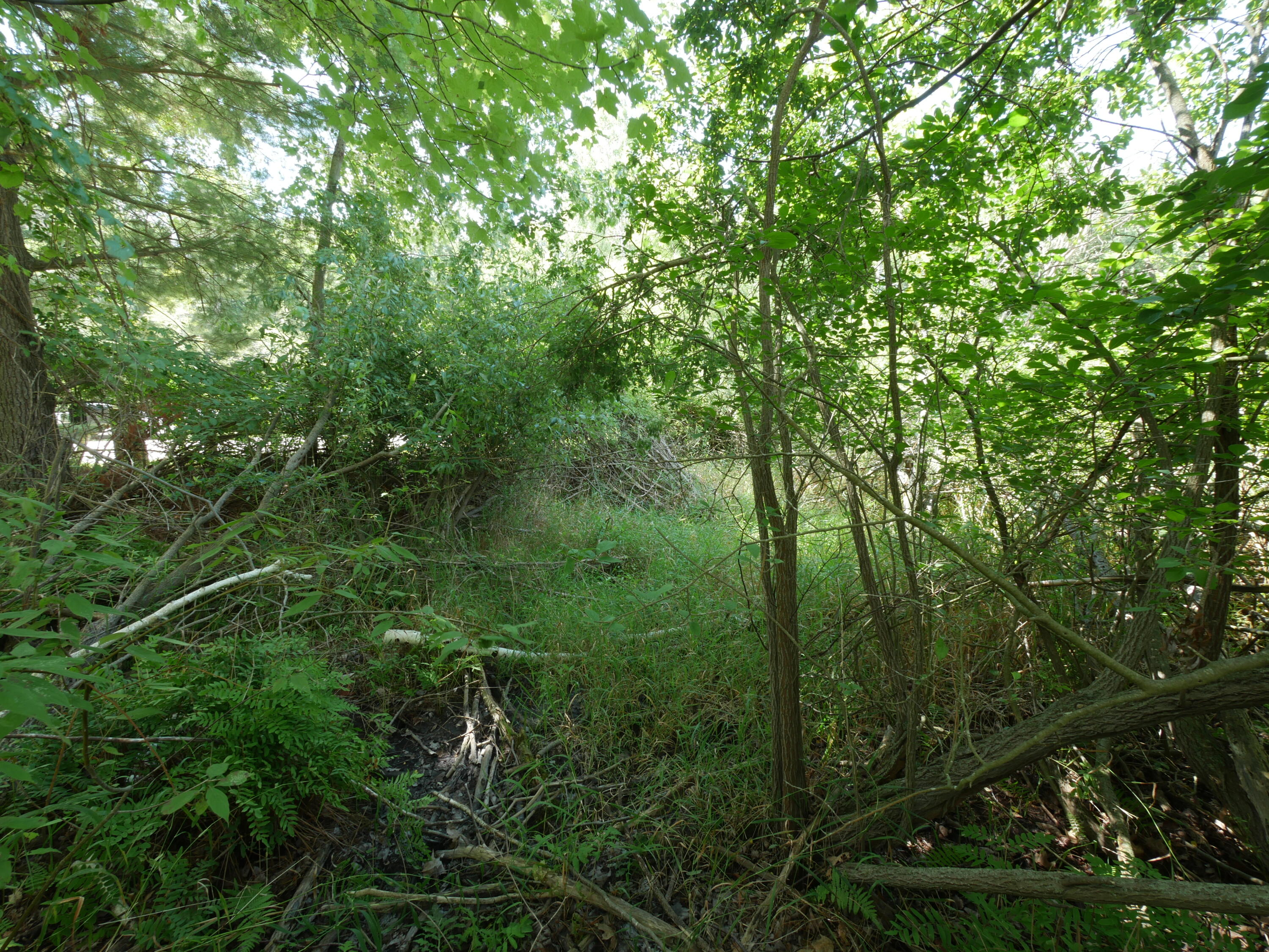 0 West Fruitvale Road Montague, MI 49437 - Photo 10 of 13 IMG_3310