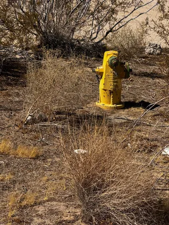 a view of an ocean beach