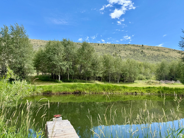 1133 Paris Canyon Road Paris, ID 83261 - Photo 51 of 75 Tranquil pond with reflective waters, surrounded by lush green foliage and mature trees