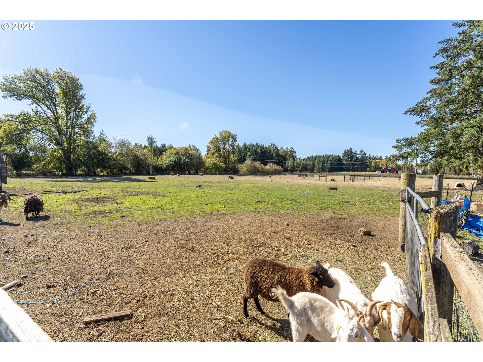 24909 Northeast 29th Avenue Ridgefield, WA 98642 - Photo 16 of 16