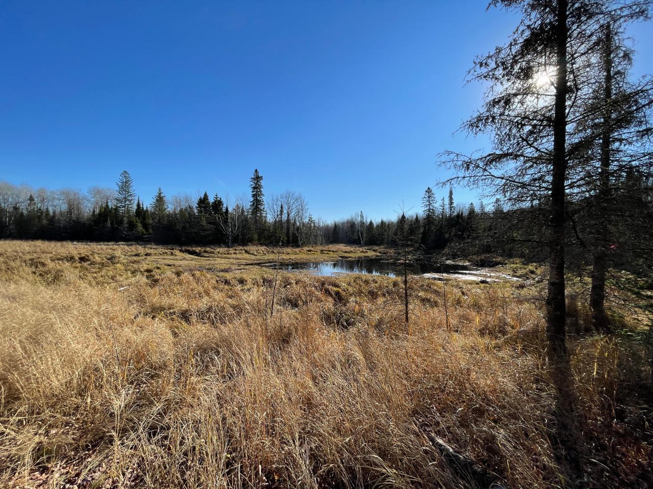 Lot 3 Murphy Lake Road Presque Isle, WI 54557 - Photo 4 of 12 Gallery Image 4