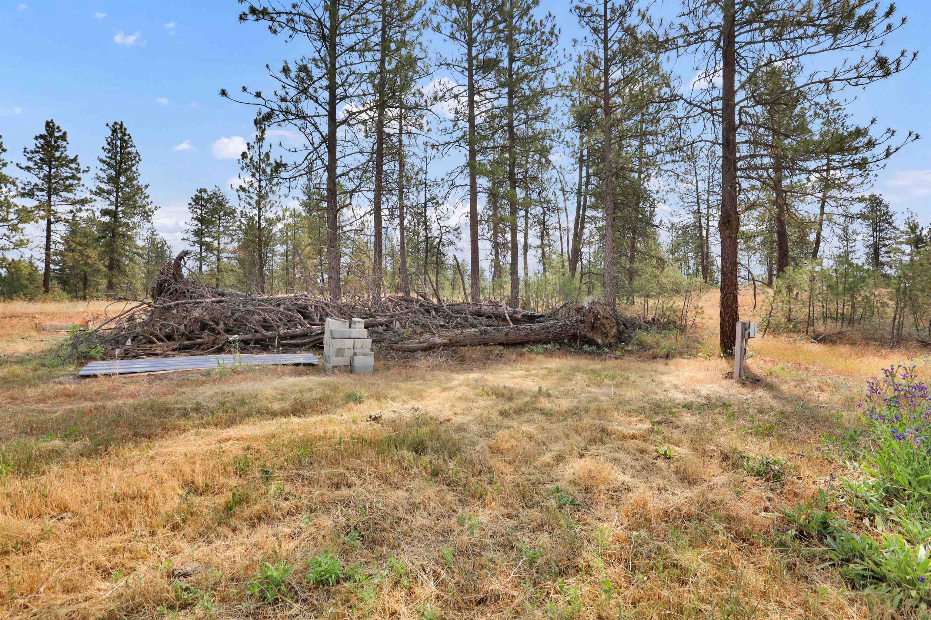 16621 South Sherman Road Cheney, WA 99004 - Photo 25 of 39