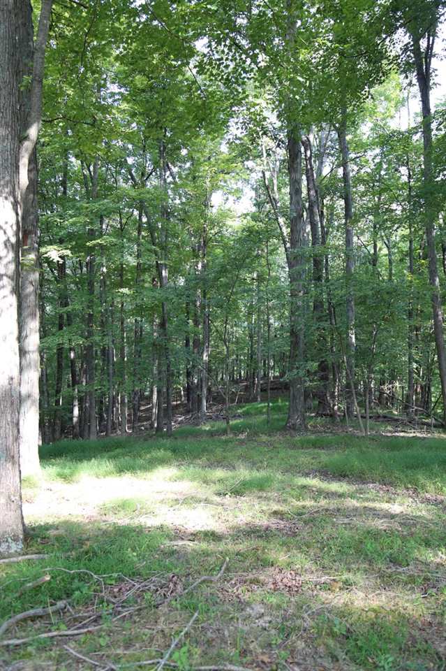 5099 East Paynetown Road Bloomington, IN 47401 - Photo 19 of 36