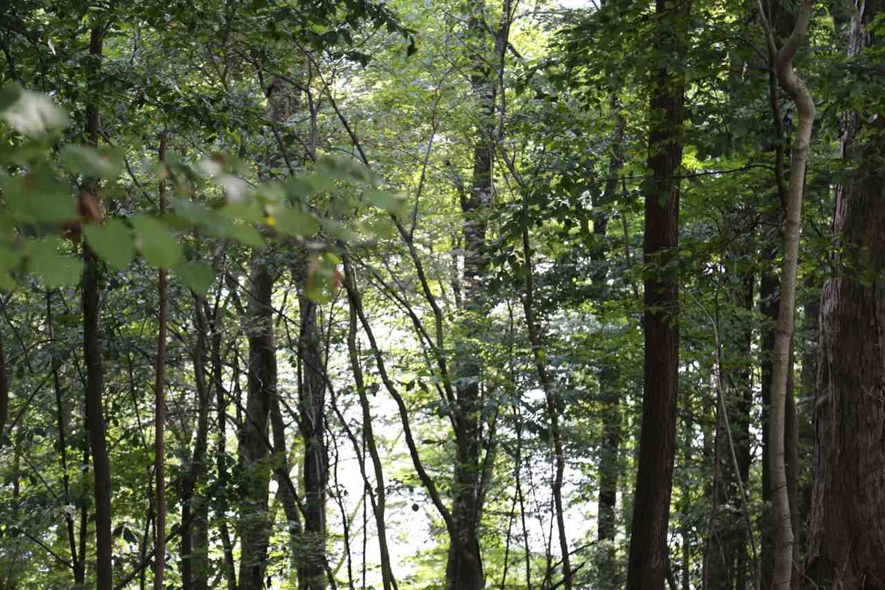 5099 East Paynetown Road Bloomington, IN 47401 - Photo 27 of 36