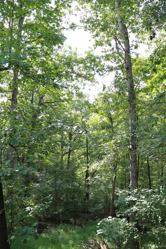 5099 East Paynetown Road Bloomington, IN 47401 - Photo 29 of 36