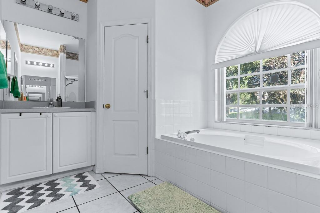 828 Innergary Place Valrico, FL 33594 - Photo 12 of 20 a bathroom with a bathtub and a sink