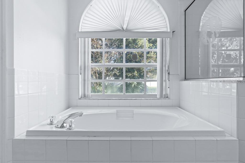 828 Innergary Place Valrico, FL 33594 - Photo 13 of 20 a bathroom with bathtub and window