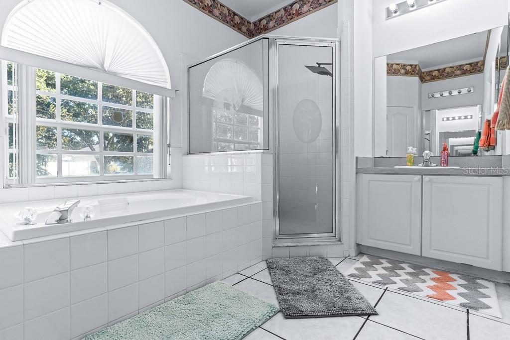 828 Innergary Place Valrico, FL 33594 - Photo 14 of 20 a bathroom with a sink and a mirror