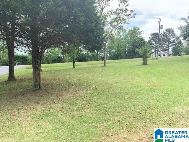 1461 Old Rocky Ridge Road Jacksonville, AL 36265 - Photo 36 of 44