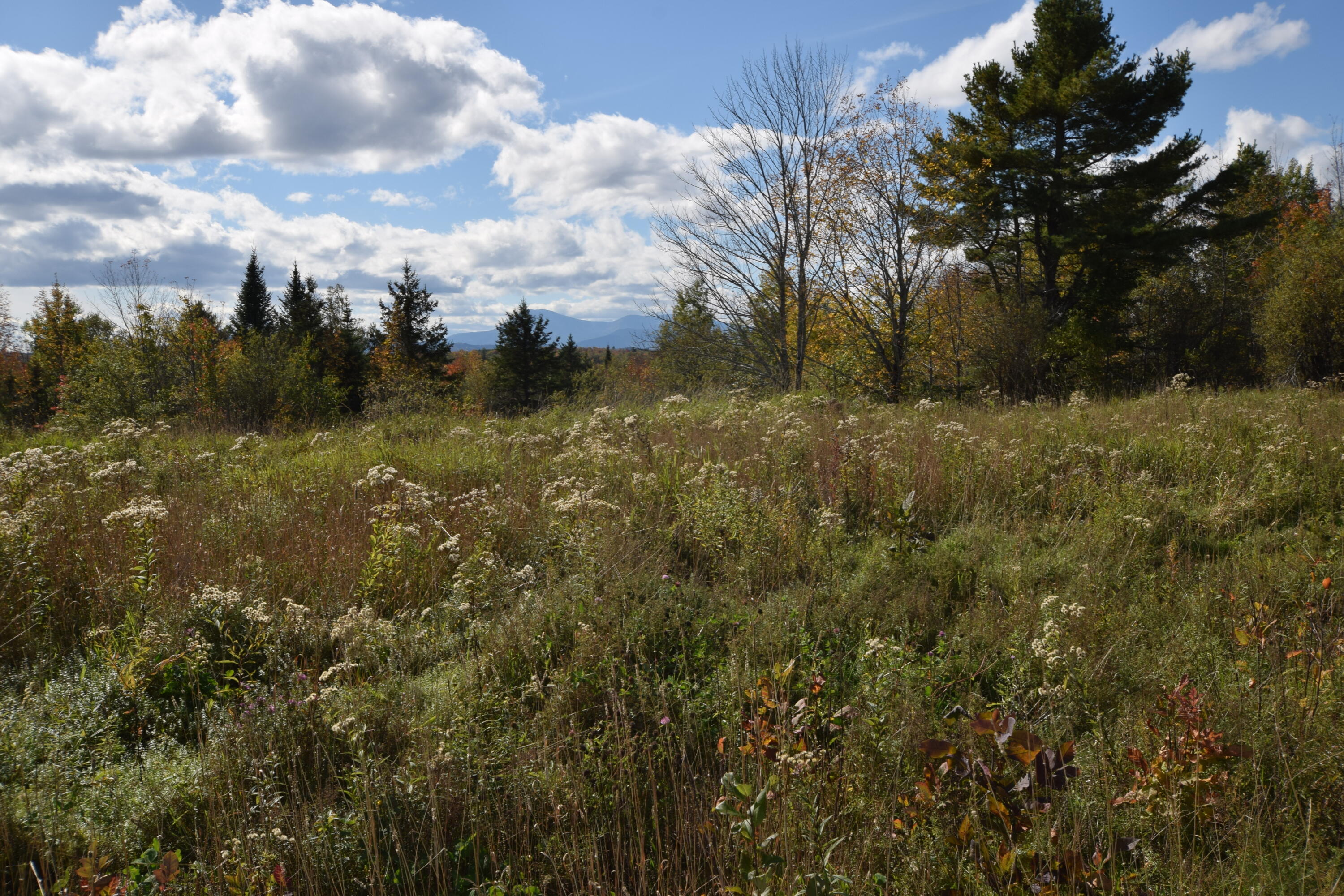 Lot 5 Barleyville Road Patten, ME 04765 - Photo 14 of 45 Views...