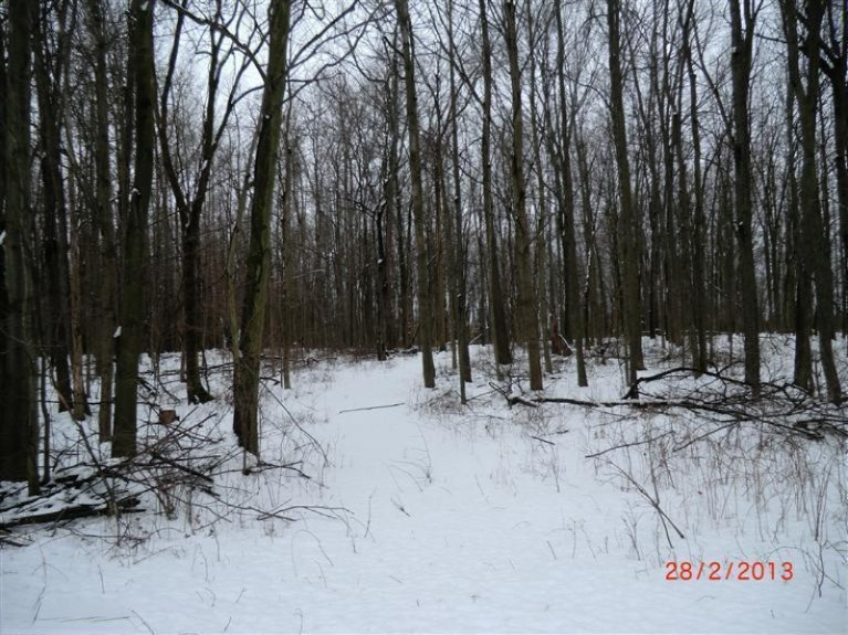 Copeland Road Montgomery, MI 49255 - Photo 1 of 1 Primary Photo