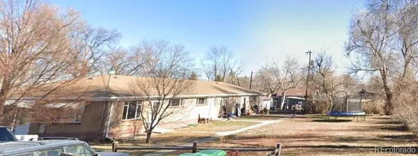 a street view with large trees