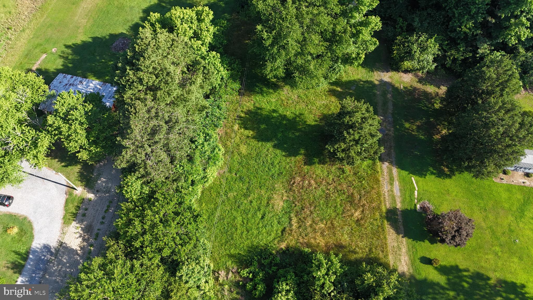 6175 White Deer Road Delmar, DE 19940 - Photo 3 of 3 a view of a garden