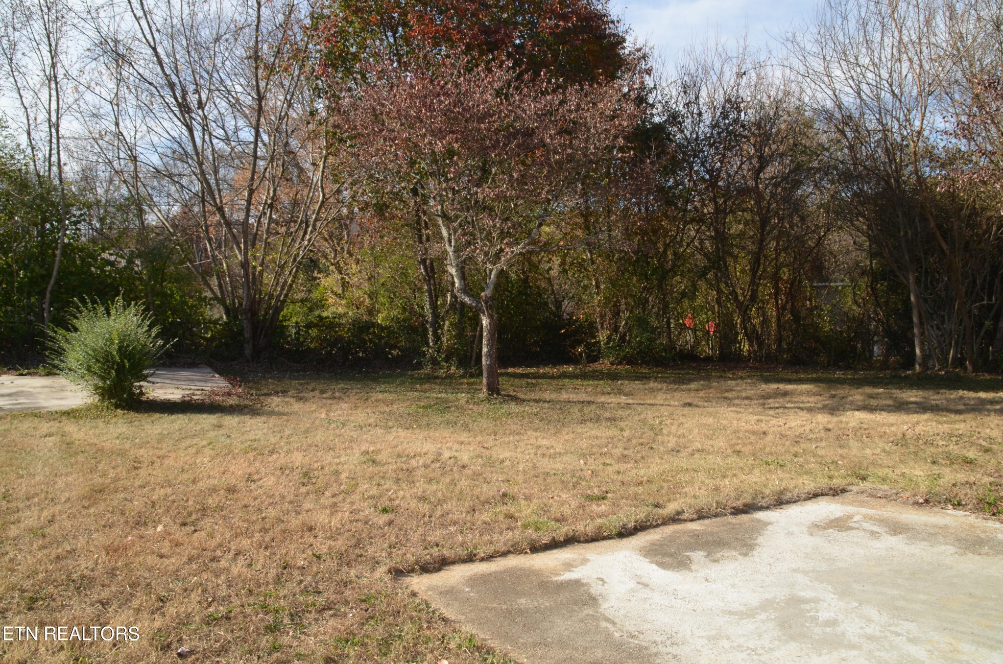 1901 Rambling Road Knoxville, TN 37912 - Photo 23 of 26