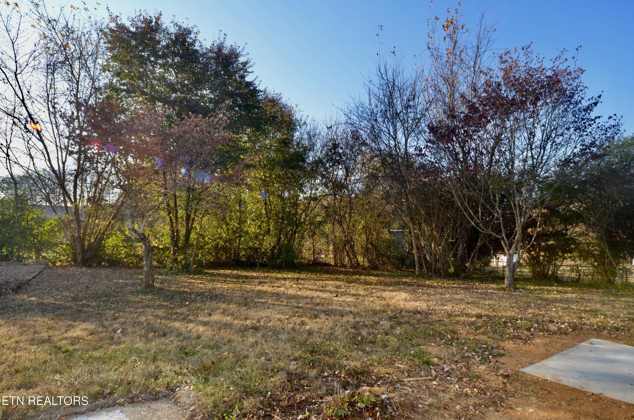 1901 Rambling Road Knoxville, TN 37912 - Photo 6 of 26