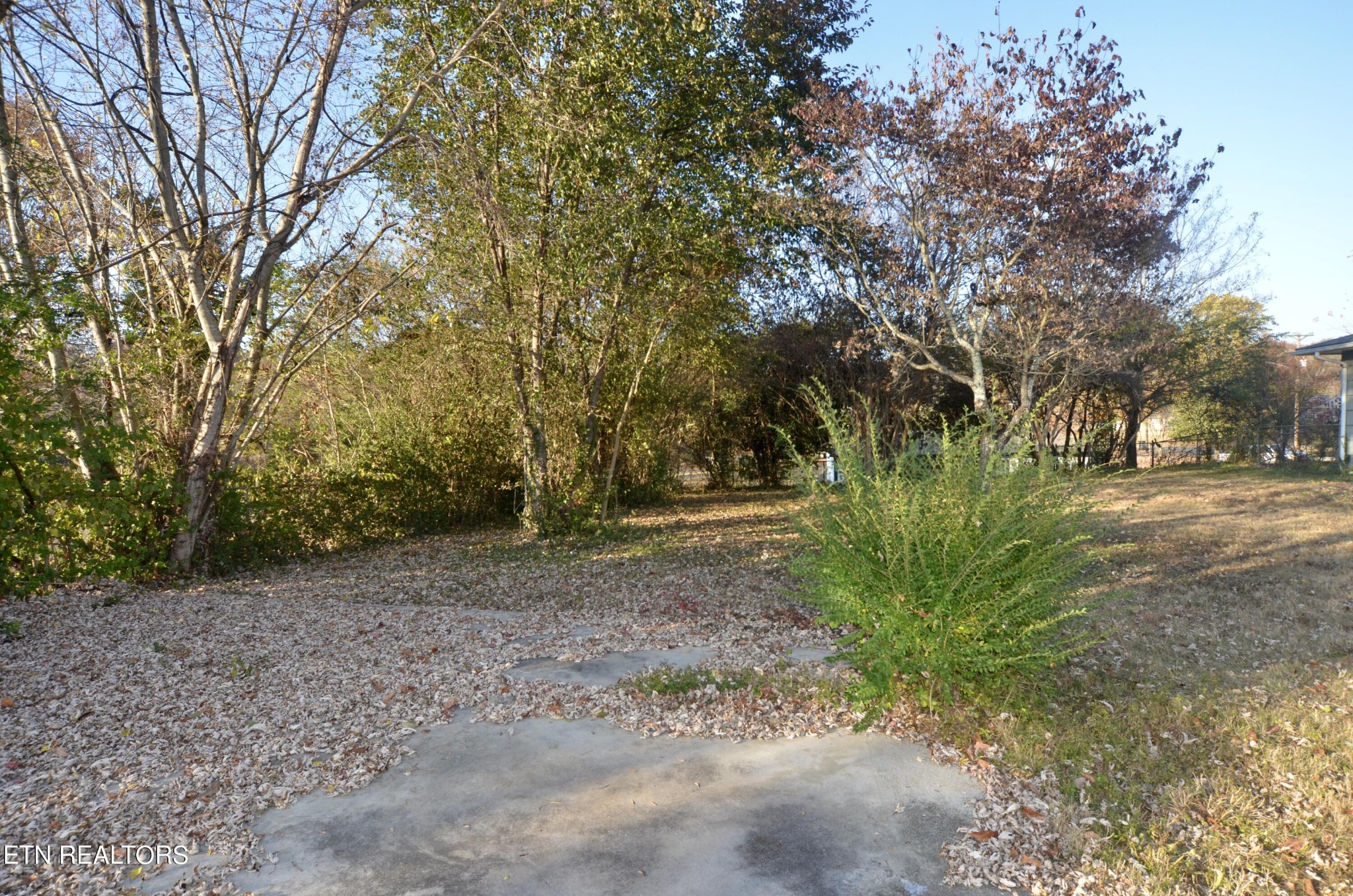 1901 Rambling Road Knoxville, TN 37912 - Photo 7 of 26