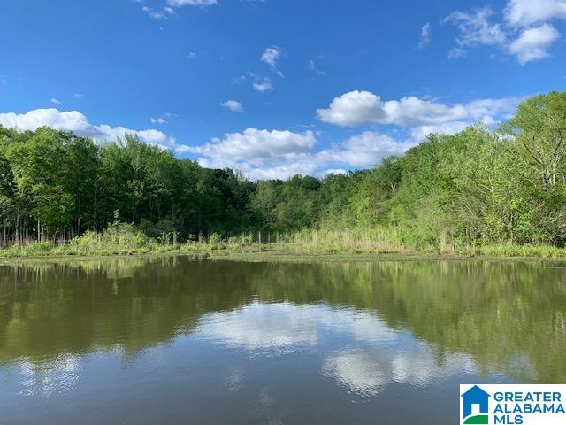 Ferry Road Childersburg, AL 35044 - Photo 2 of 3