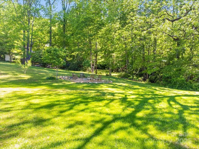 a view of a yard with a tree