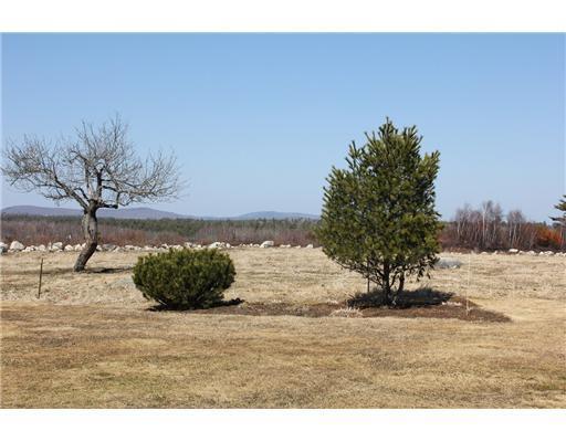 861 Toddy Pond Road Surry, ME 04684 - Photo 14 of 14 View.