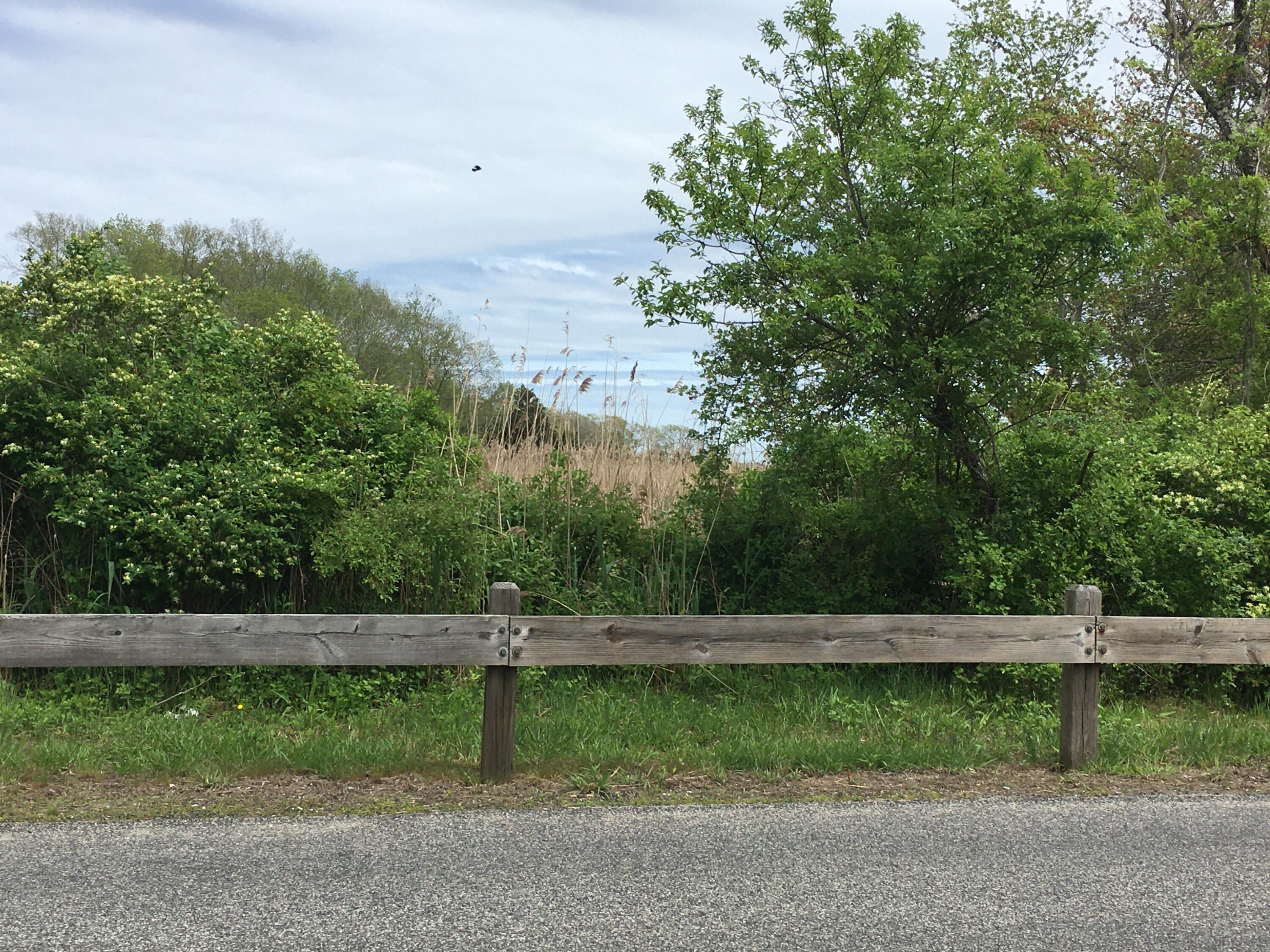 0 Town Neck Road Sandwich, MA 02563 - Photo 1 of 3 IMG-2784