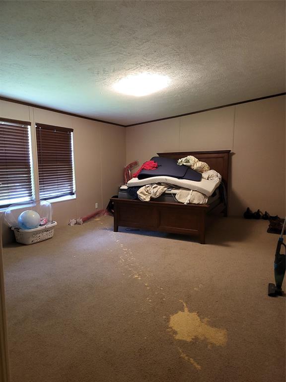 9571 Paula Street Keithville, LA 71047 - Photo 6 of 16 Absolutely huge primary bedroom. Yes, had a major spill so this carpet will need replacing.