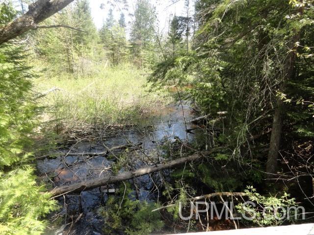E6646 Doe Lake Road Munising, MI 49862 - Photo 4 of 24