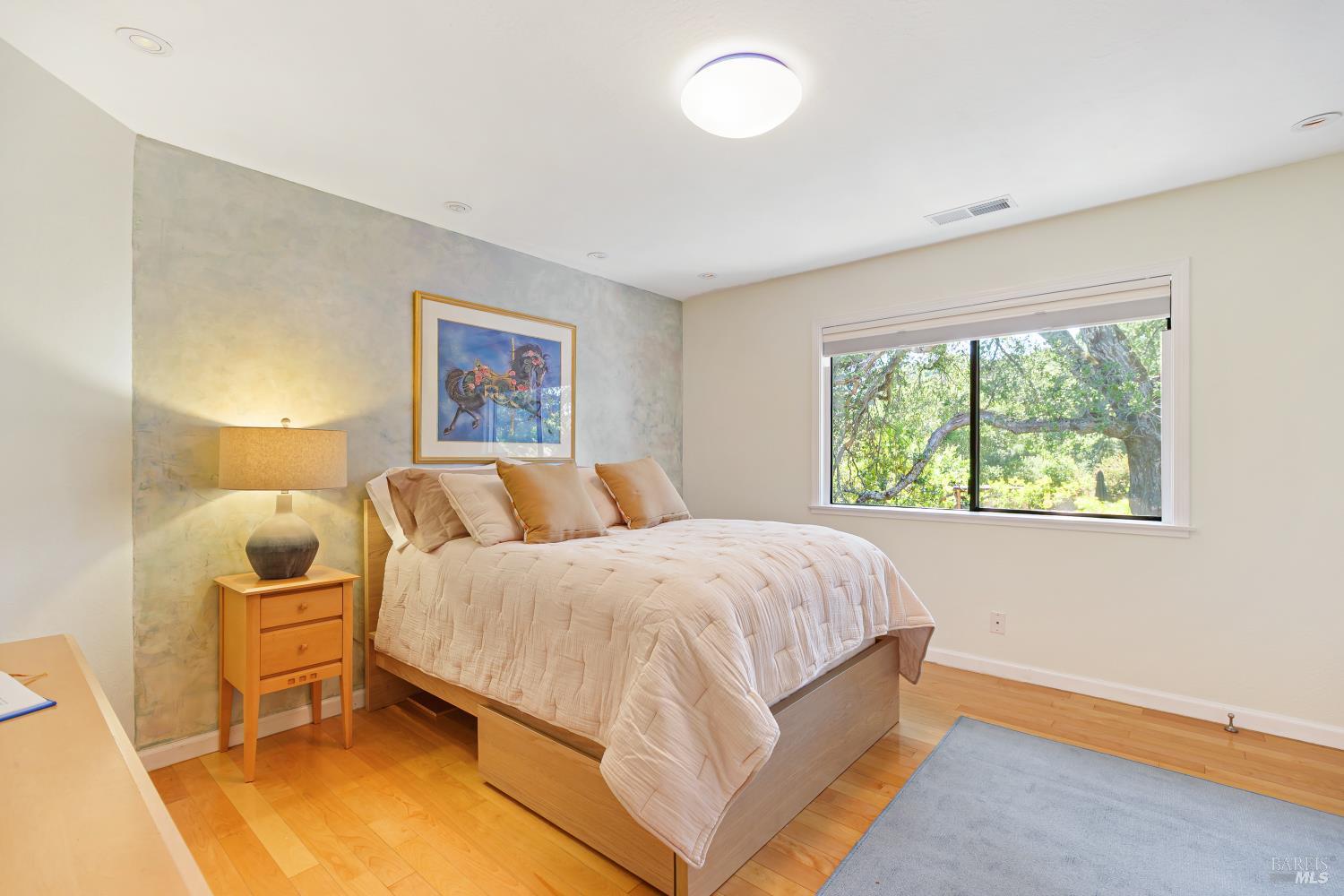 10 Shari Court Novato, CA 94947 - Photo 18 of 48