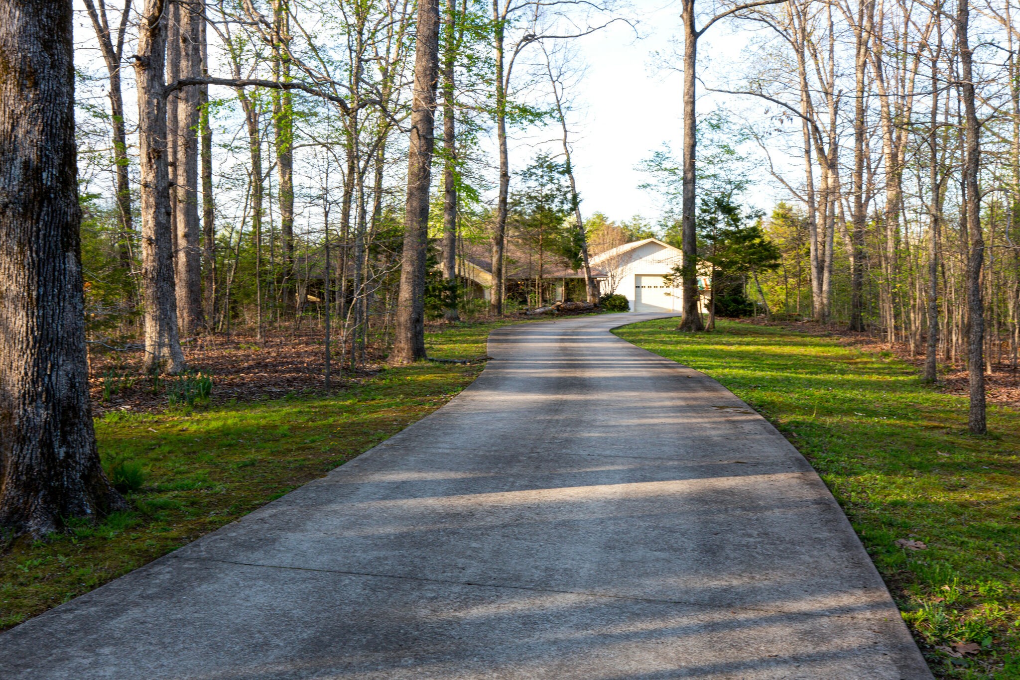 143 Sycamore Road Dickson, TN 37055 - Photo 3 of 36 a park view with large trees