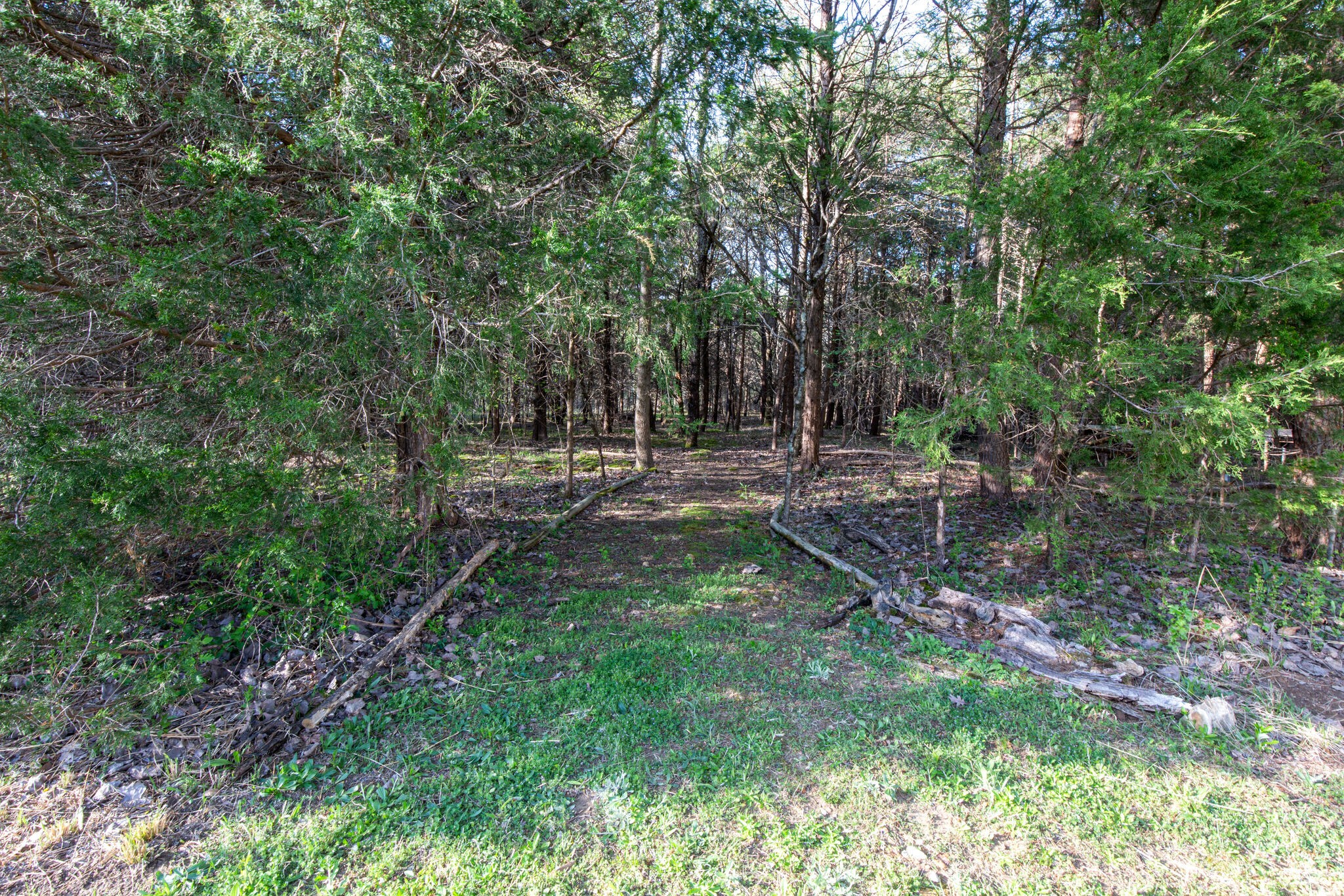 143 Sycamore Road Dickson, TN 37055 - Photo 32 of 36 a backyard of a house with lots of green space and fountain