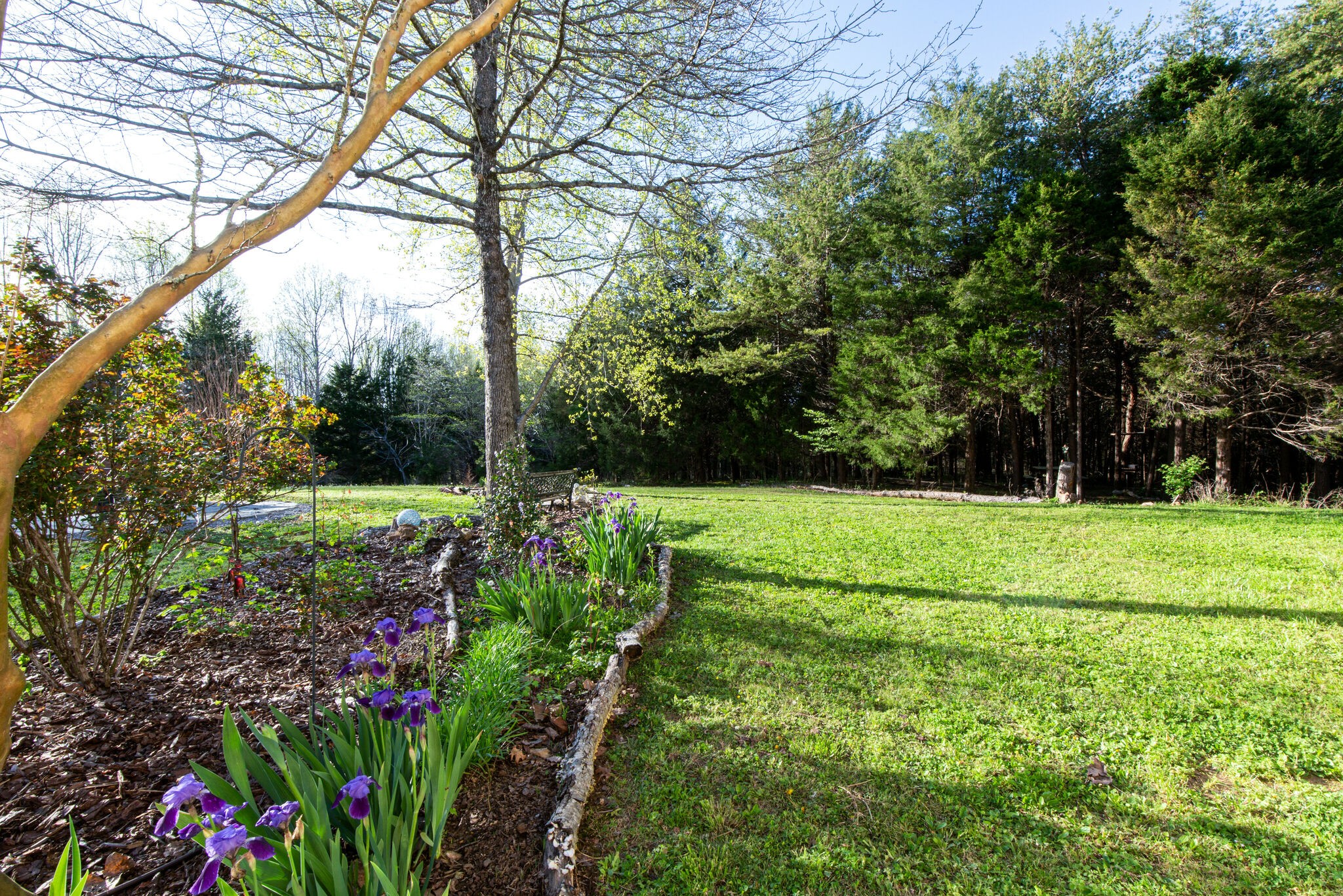 143 Sycamore Road Dickson, TN 37055 - Photo 33 of 36 a view of field with flowers and trees