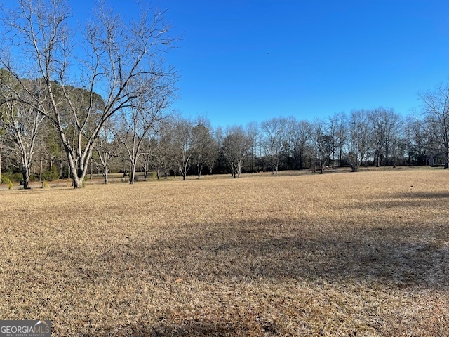 425 Trice Cemetery Road Thomaston, GA 30286 - Photo 27 of 30 a street view covered with snow