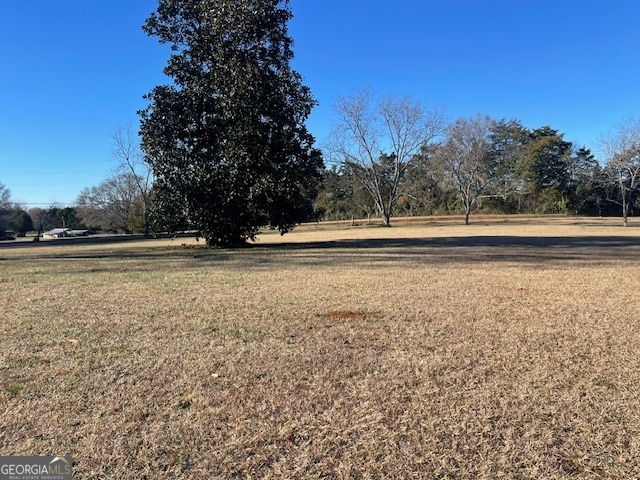 425 Trice Cemetery Road Thomaston, GA 30286 - Photo 30 of 30 a view of an ocean and trees