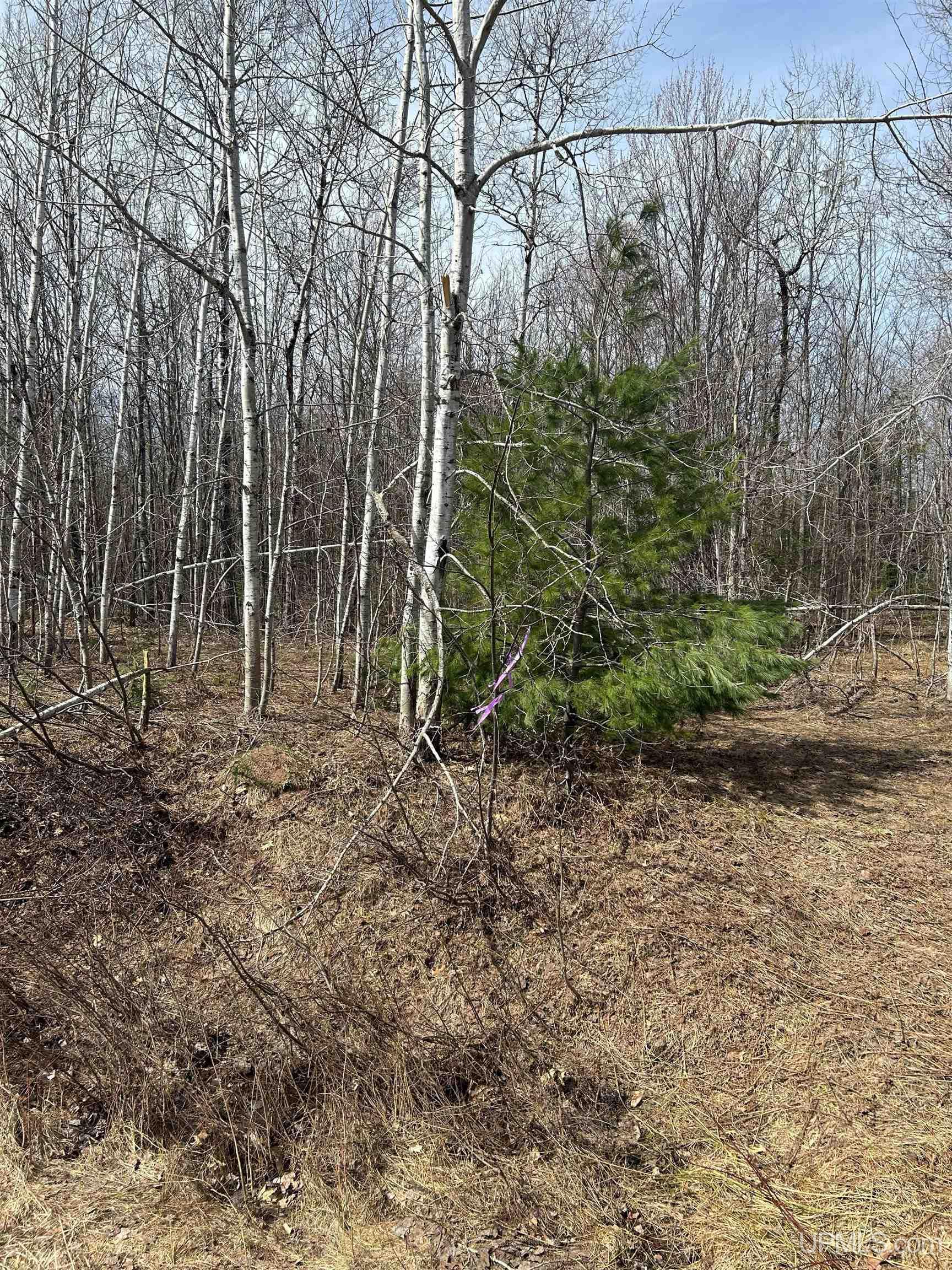4-10 Firesteel Road Ontonagon, MI 49953 - Photo 22 of 28