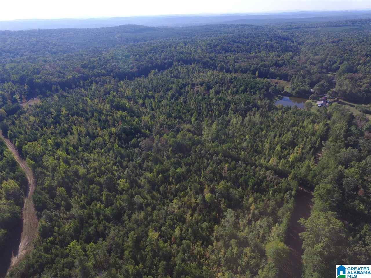 220 Gant Road, Unit 106 AC Pell City, AL 35128 - Photo 13 of 23