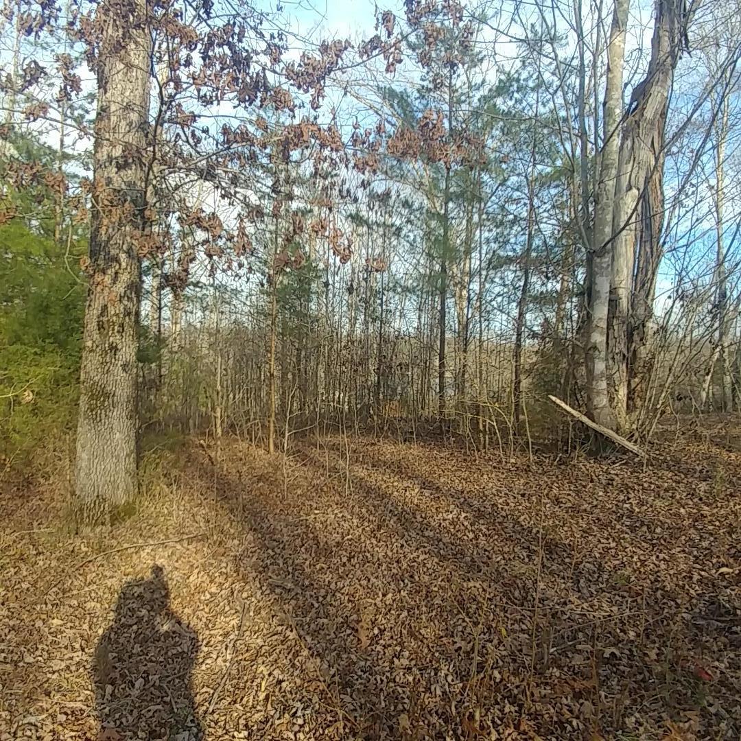 Lot 16 Waterview Dr Spring Spring City, TN 37381 - Photo 1 of 5 0308211652
