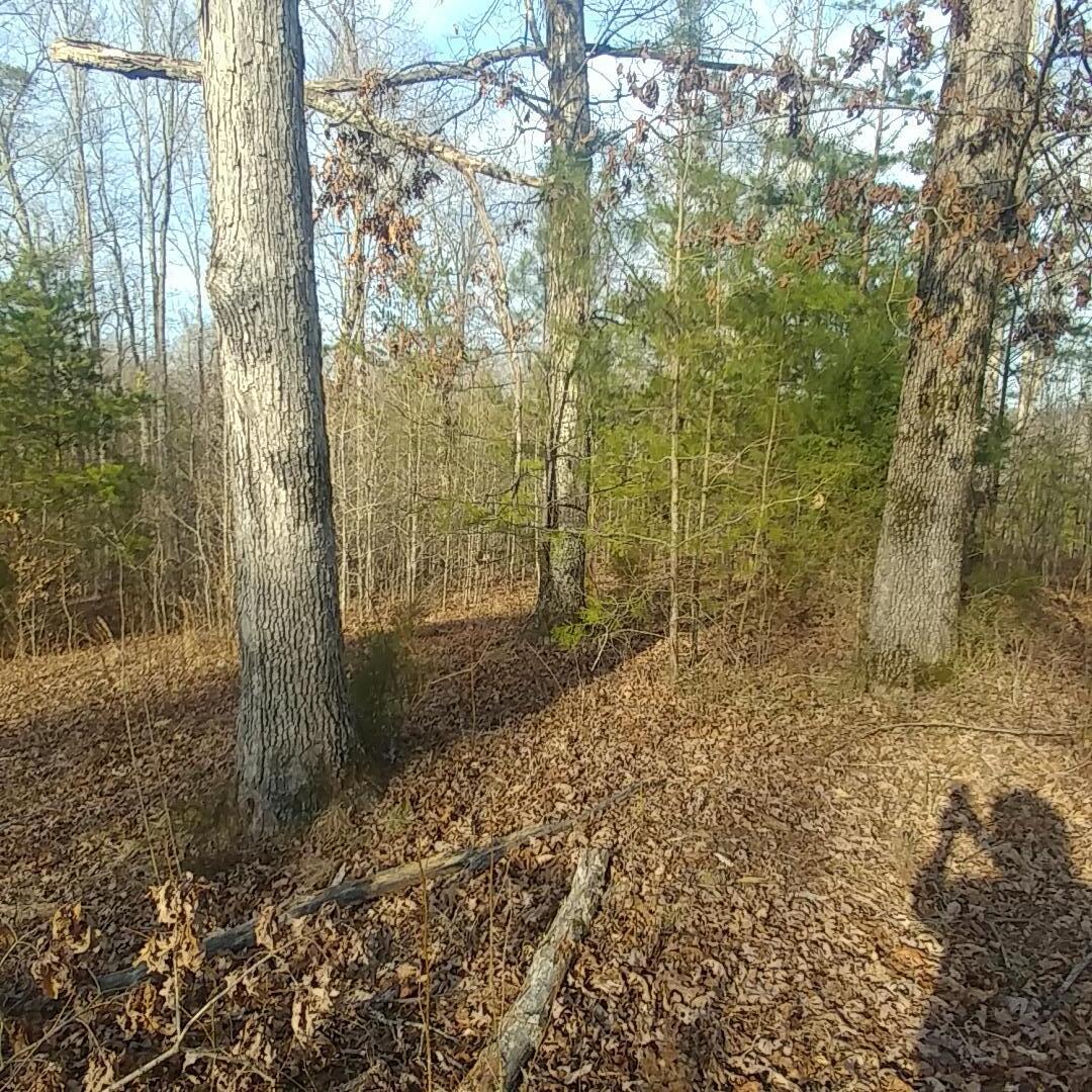 Lot 16 Waterview Dr Spring Spring City, TN 37381 - Photo 2 of 5 0308211652a