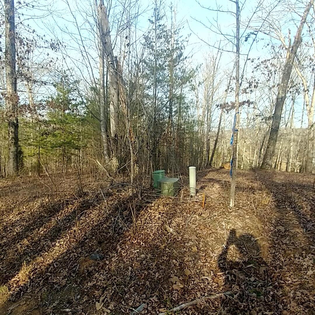 Lot 16 Waterview Dr Spring Spring City, TN 37381 - Photo 3 of 5 0308211653_HDR