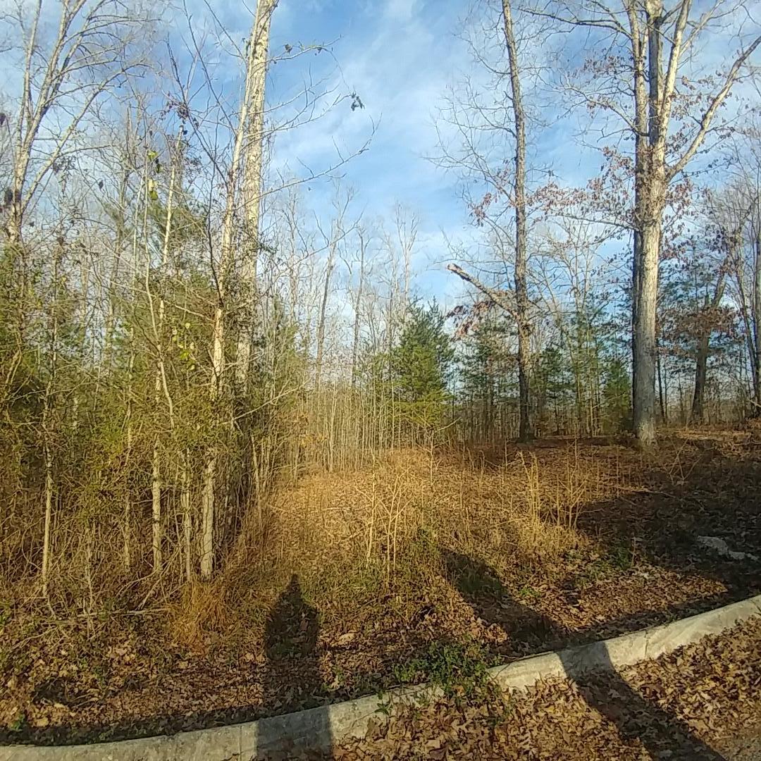 Lot 16 Waterview Dr Spring Spring City, TN 37381 - Photo 4 of 5 0308211655